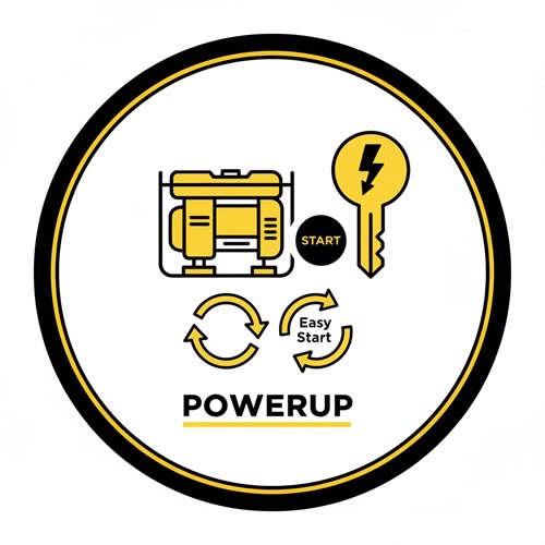Generator electric key start